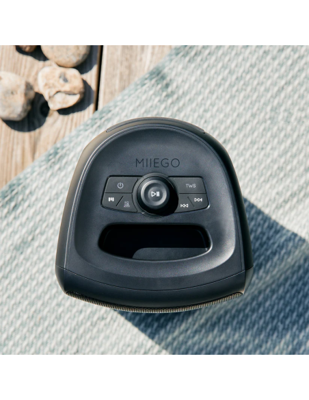 MIIEGO TWISTER